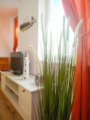 Apartamento Ostseeperle Usedom