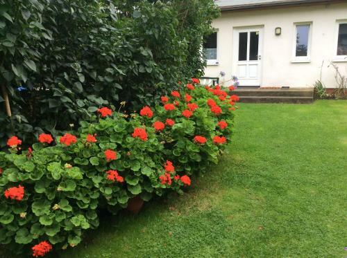 Apartamento Fewo Wende