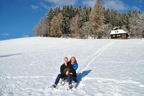 Agroturismo Schlintl-hof