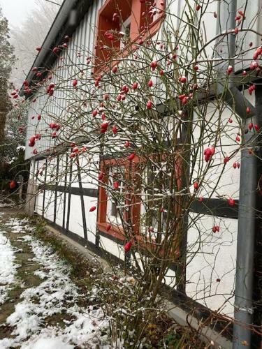 Apartamento Belka Am Rursee