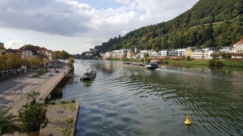 Apartamento Ferienwohnung Sonja Sinsheim