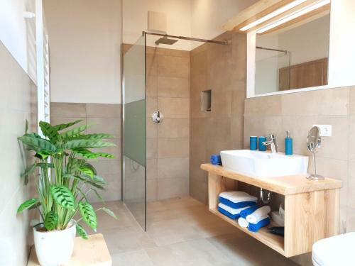 Apartamentos Rinser See-hof