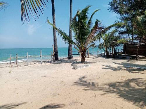 Albergue Air Lush Beach Cabanas