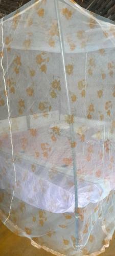 Albergue Air Lush Beach Cabanas