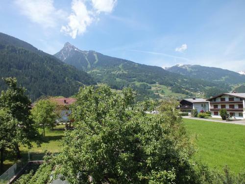 Apartamento Haus Netzer Anita