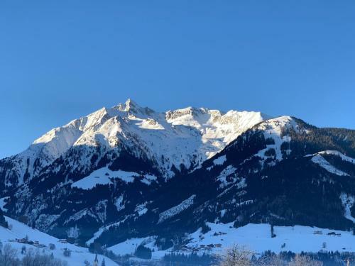 Apartment Chalet Pihapperblick 1