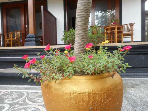 Milla Homestay