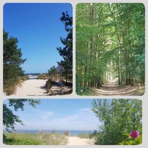 Apartamento Ostseesternchen Zempin