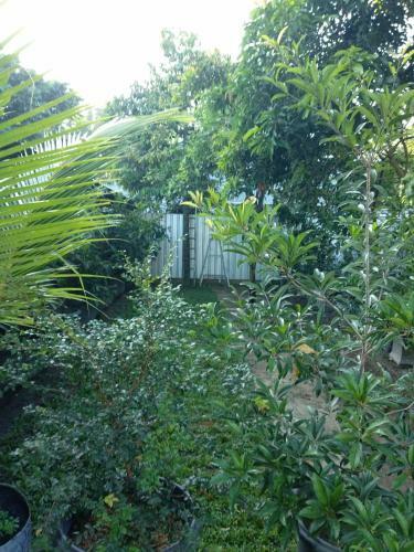 Hostal Omah Kebon Kalasan