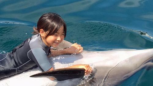 Hostal Minshuku Hanamizuki / Vacation Stay 197