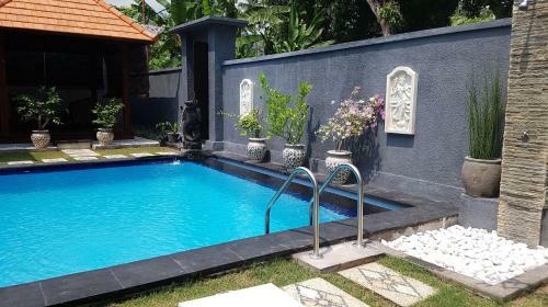 Hotel Mias Jungle House
