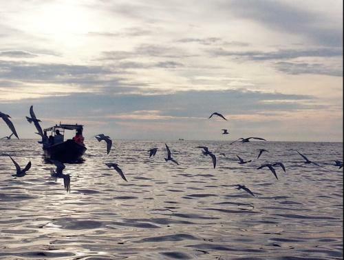 Apartamento Gone Fishin' @ Kuala Selangor ( 2 Min To Sky Mirror Jetty)