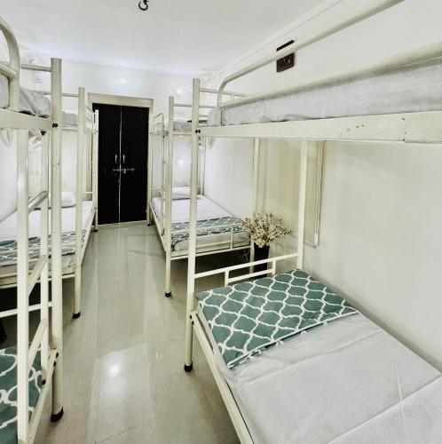 Hostel Ivory