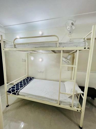 Hostel Ivory