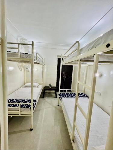Hostel Ivory