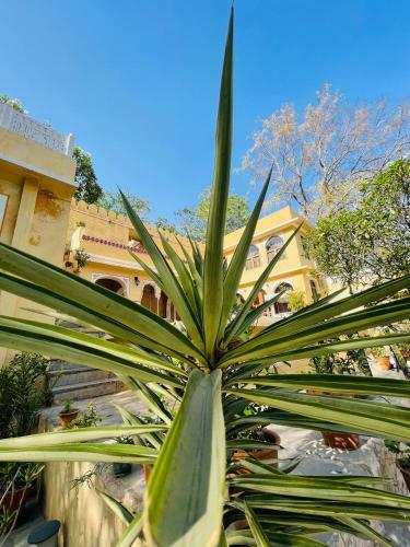 Villa Sunar Bagh An Exclusive 3 Bedroom Mountain Castle