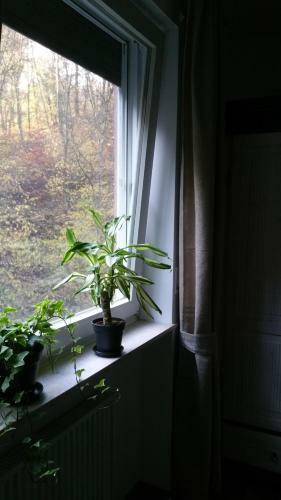 Hostal Hotel Elfenm�hle
