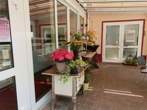 Hostal Hotel Elfenm�hle