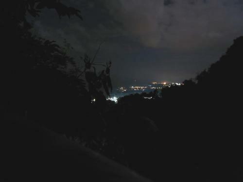 Gibbon Retreat Bentong