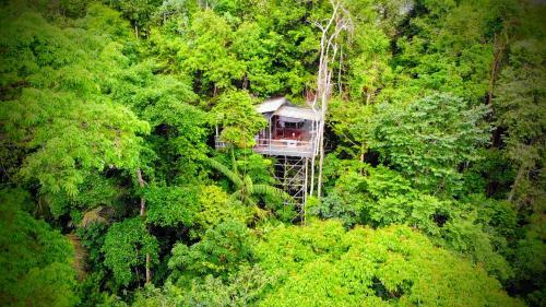 Gibbon Retreat Bentong