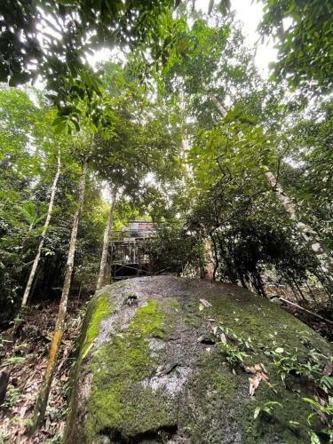 Gibbon Retreat Bentong
