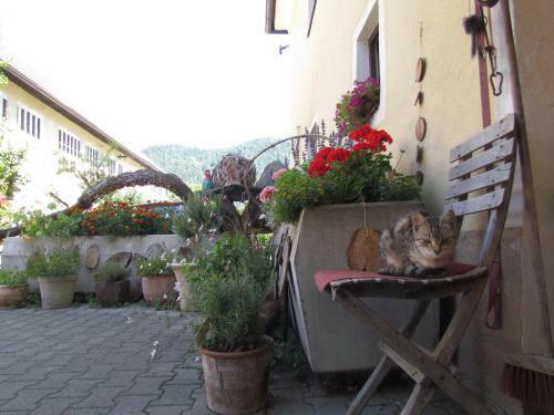 Hostal Gasthof Pension Rabl