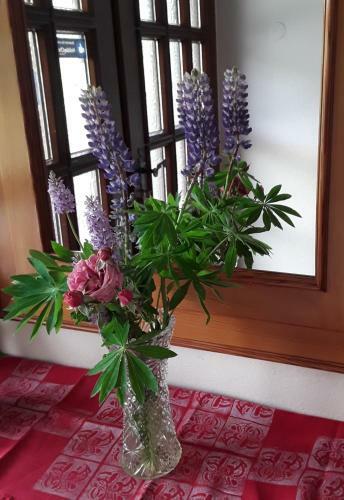 Apartamento G�stehaus Kuchernig