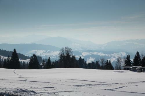 Hostal Gasthof Pension Hochlitten