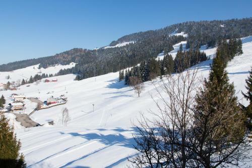 Hostal Gasthof Pension Hochlitten