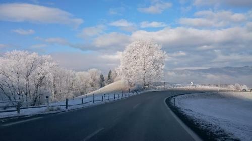 Zinkhaus - Waldheimat Alpl