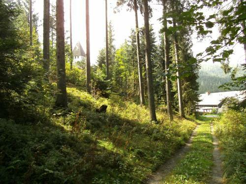 Apartamento G�stehaus Zur Waldschule