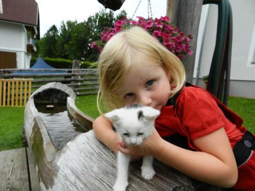Hostal Baby- Und Kinderbauernhof Riegler