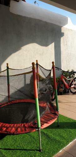 Villa Gallery@7homestay
