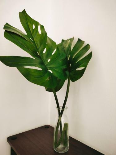 Apartamento Peace Home