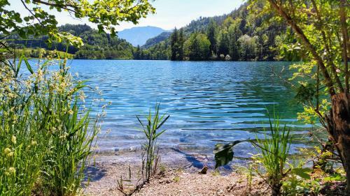 Apartamento Ferienwohnung Lattenberg