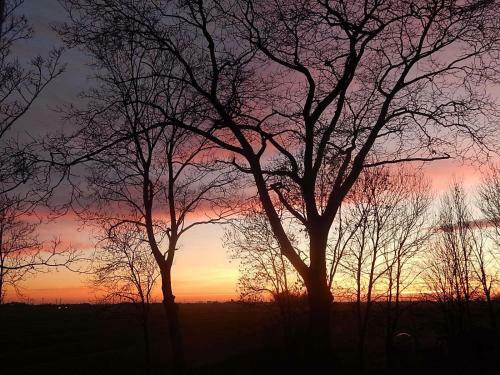 Apartamentos Ferienwohnungen Bekperle