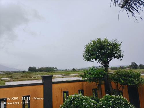 Villa Miesya