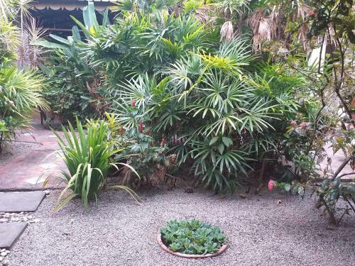 Hostal Pondok Keladi Langkawi Guesthouse