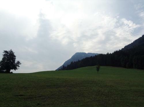 Ferienhaus Koglerh�tte