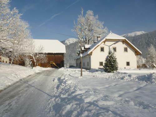Apartamento Ferien Am Land - Waldbauer
