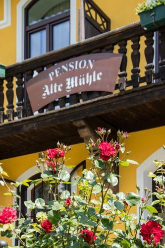 Bed & Breakfast Pension Alte M�hle