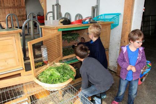 Agroturismo Gut Sonnbichl