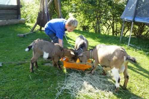 Agroturismo Kerndlerhof
