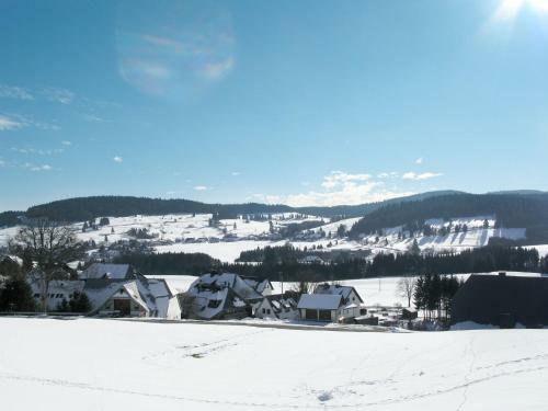 Apartment Schwarzwaldblick-4
