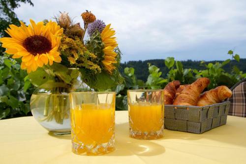 Apartamento Ferienparadies Bodensee Fewo1