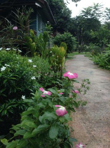 Hotel At Home Chiang Dao, Pooch Lovers