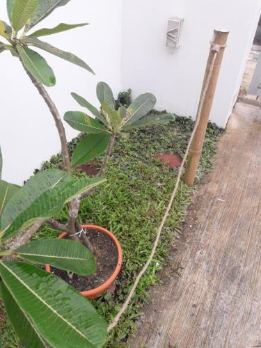 Tampoi Homestay