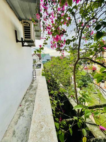Villa Rooftop Garden Cottage