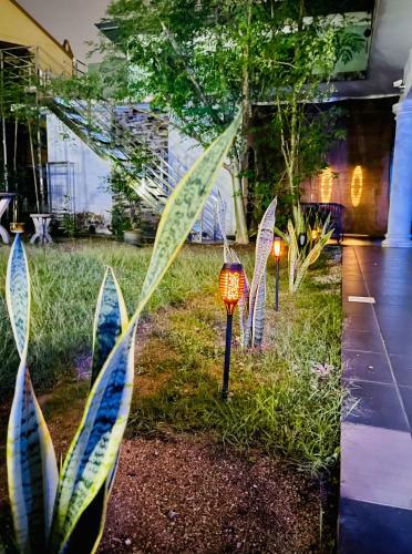 Villa Rooftop Garden Cottage