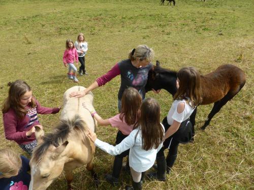 Agroturismo Espi-stables Ferienhof Esterhammer